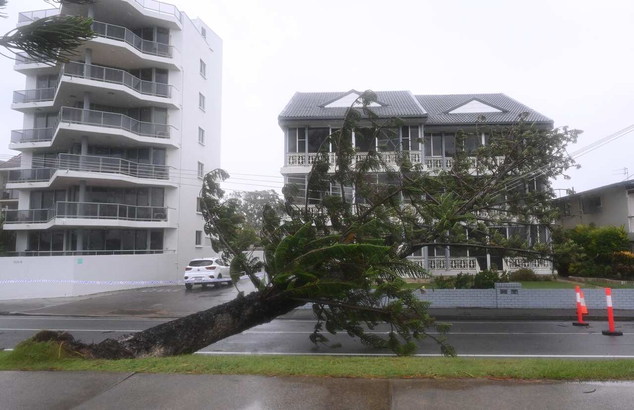 A fallen tree stretches out powerlines  in front of a large, luxurious house.