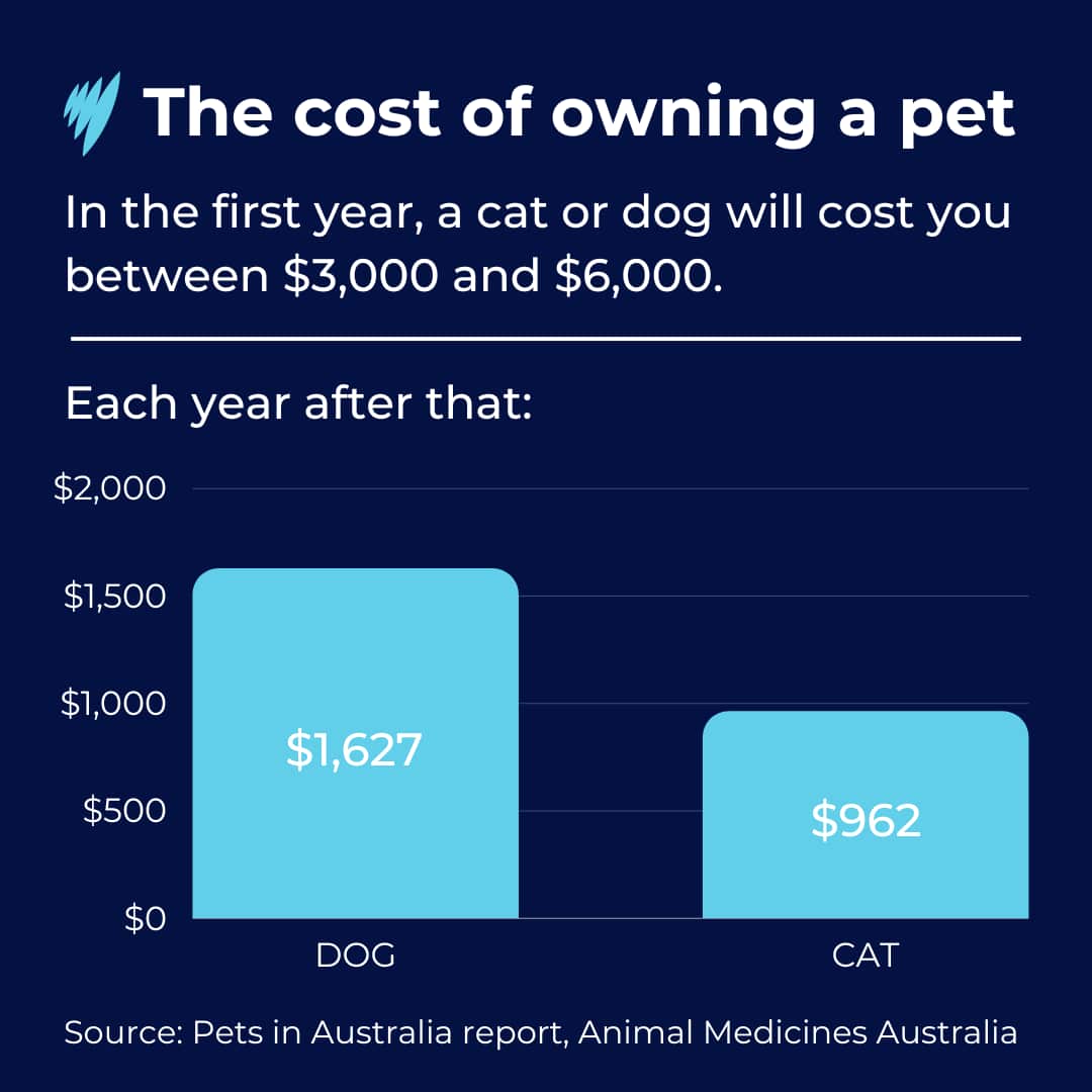 A graphic showing the expected costs of owning a cat and a dog.