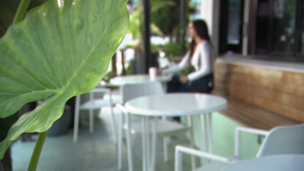 A woman is having a coffee in the blurred background. In the foreground, there is foliage.