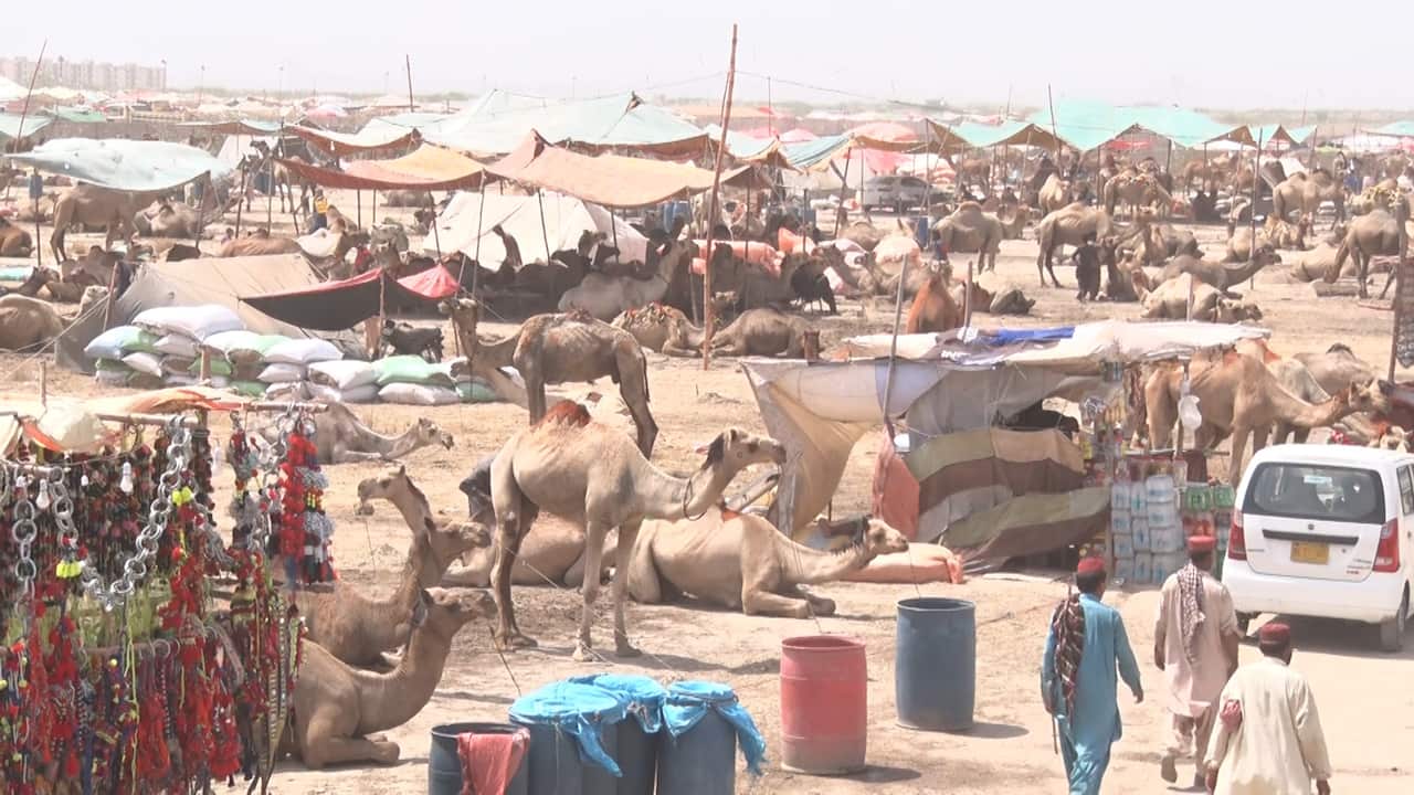 WhatsApp Image 2024-06-12 at 06.31.46.jpeg