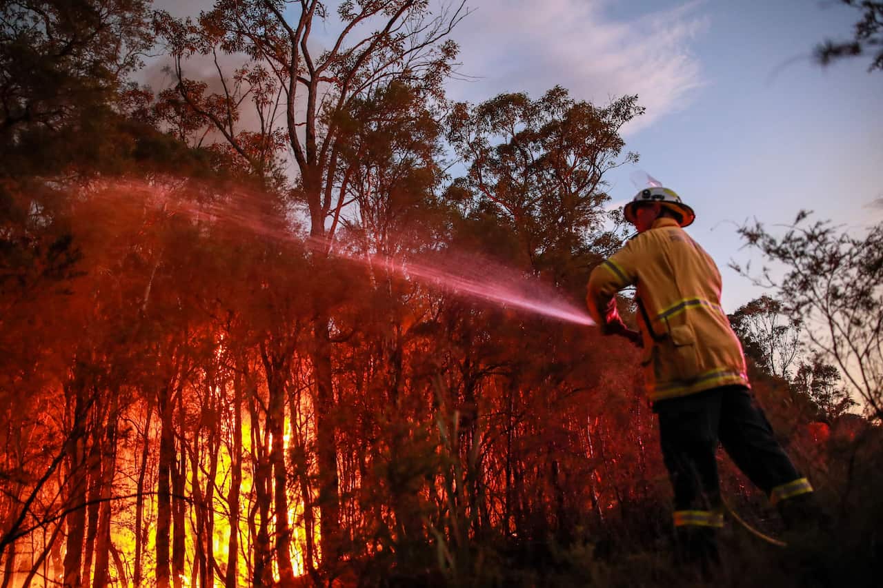 A firefighter directing a hose towards a bushfire.