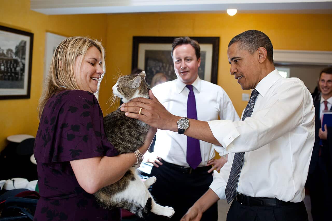 Larry in 2011 with Prime Minister David Cameron and U.S. President Barack Obama.jpg