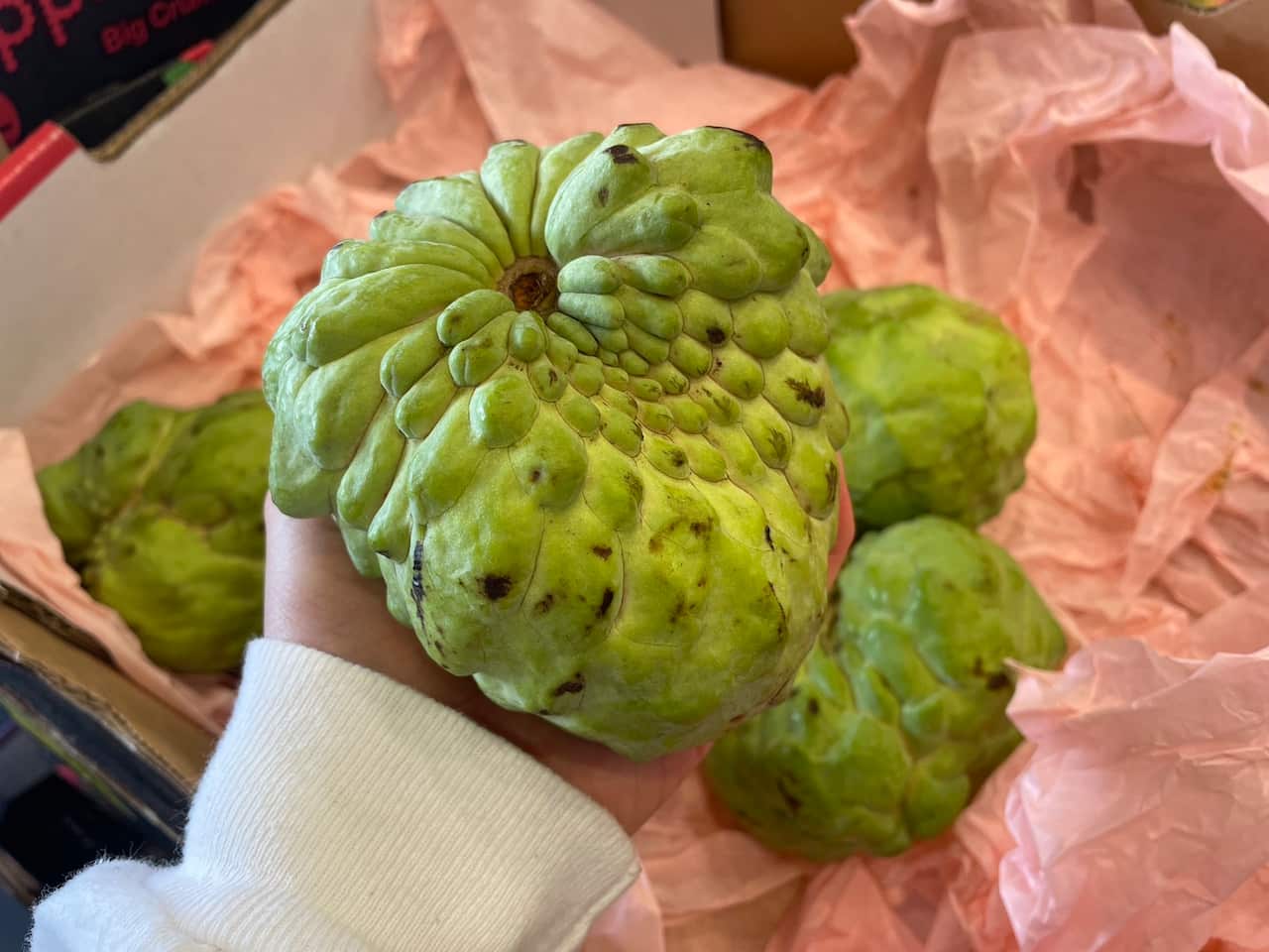 Custard Apple.jpeg
