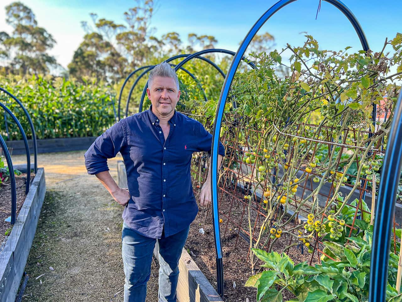A man in jeans and a blue shirt stands in a garden, beside a raised garden bed. More plants can be seen in bed behind him. 