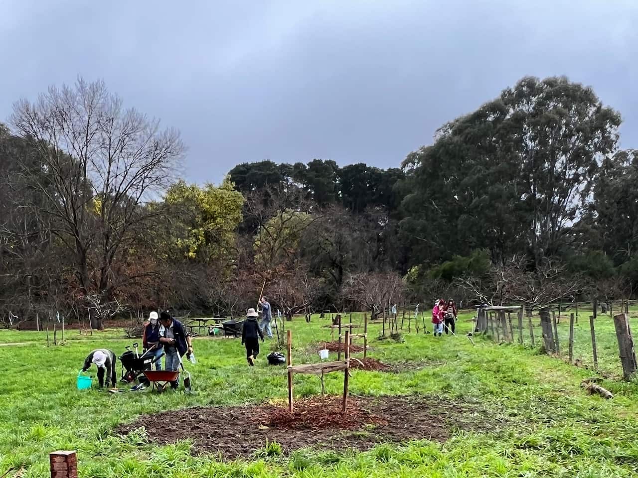 Cherry Friends volunteers hard at work