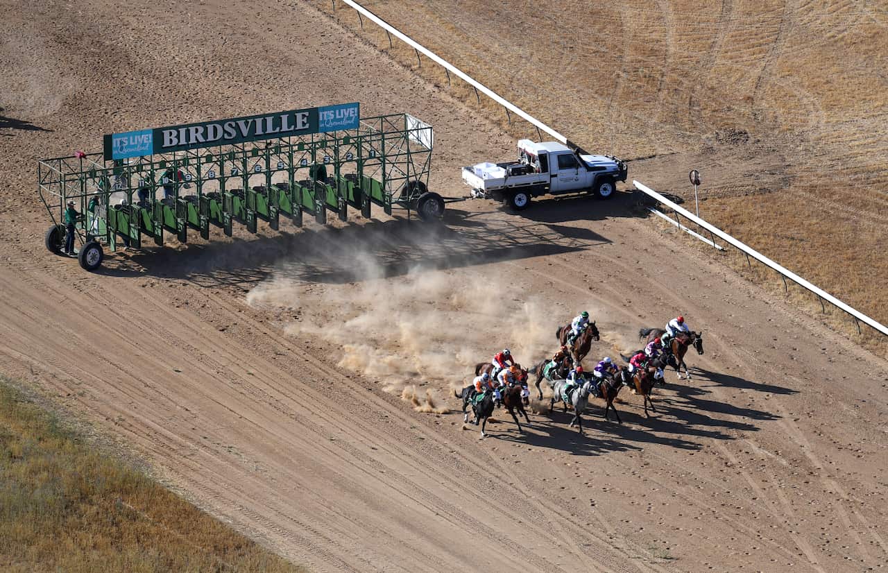 BIRDSVILLE RACES