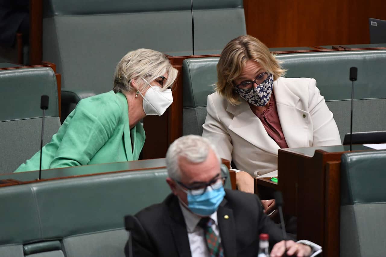 There are 15 independent MPs sitting on the Senate crossbench, including Helen Haines, Zali Steggall and Andrew Wilkie. 