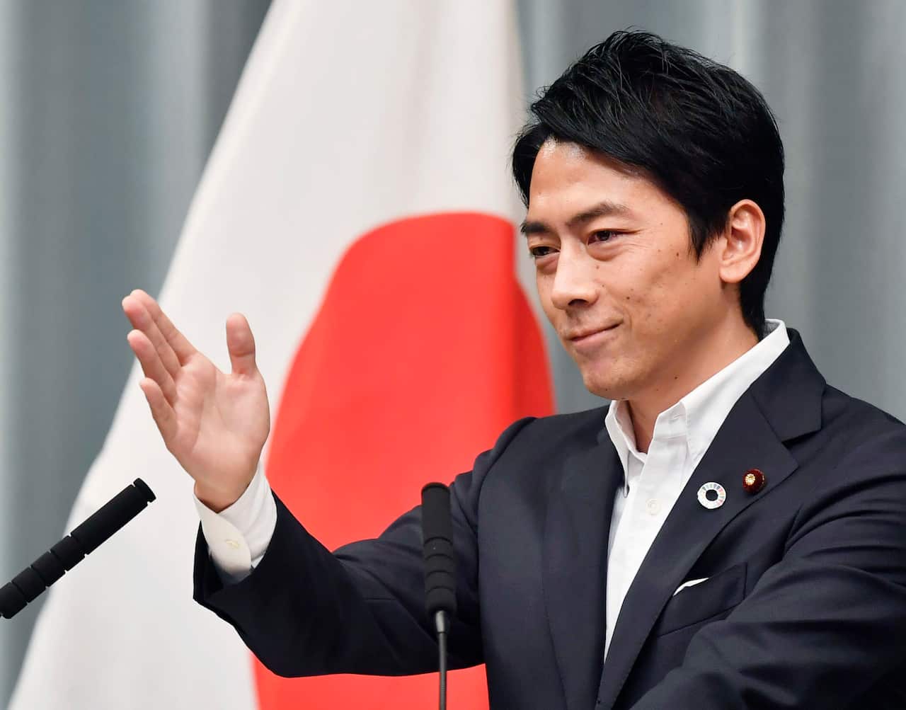 Japan PM Abe's Cabinet reshuffle