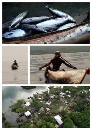 A composite of four photos showing fish in a canoe, a Solomon Islander man in a canoe from two different angles and an aerial shot of a lagoon-side village.