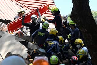 Rescue workers wearing dark uniforms and light-coloured helmets stand on top of a pile of rubble next to the trunk of a tree. The two at the top are carrying a red stretcher.