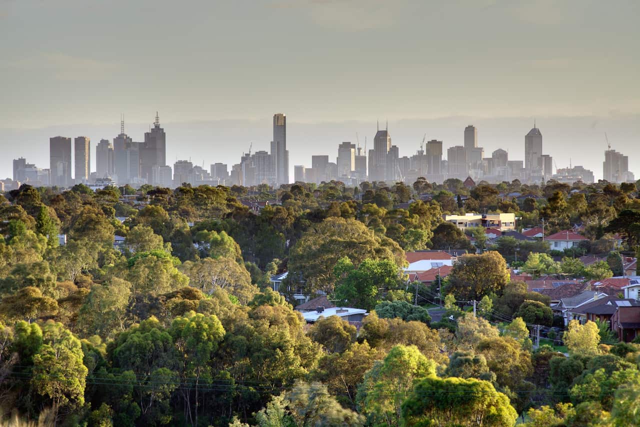 Melbourne tree canopy_Mark Burban_Getty.jpg