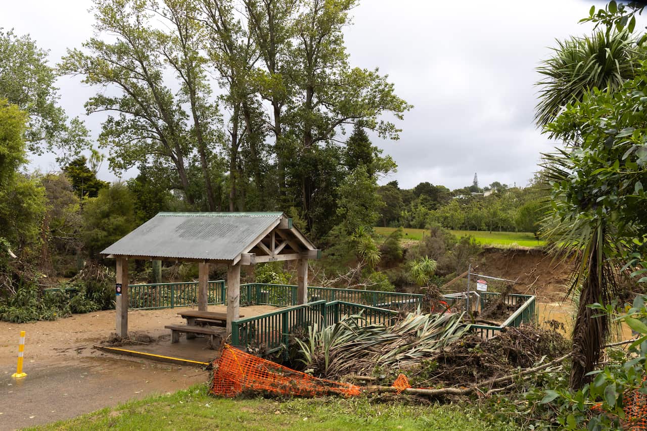 Fallen trees at a park.