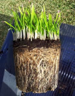 Screenshot 2024-08-09 102229.png