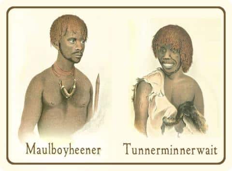An illustration of tunnerminnerwait and maulboyheener image.jpg