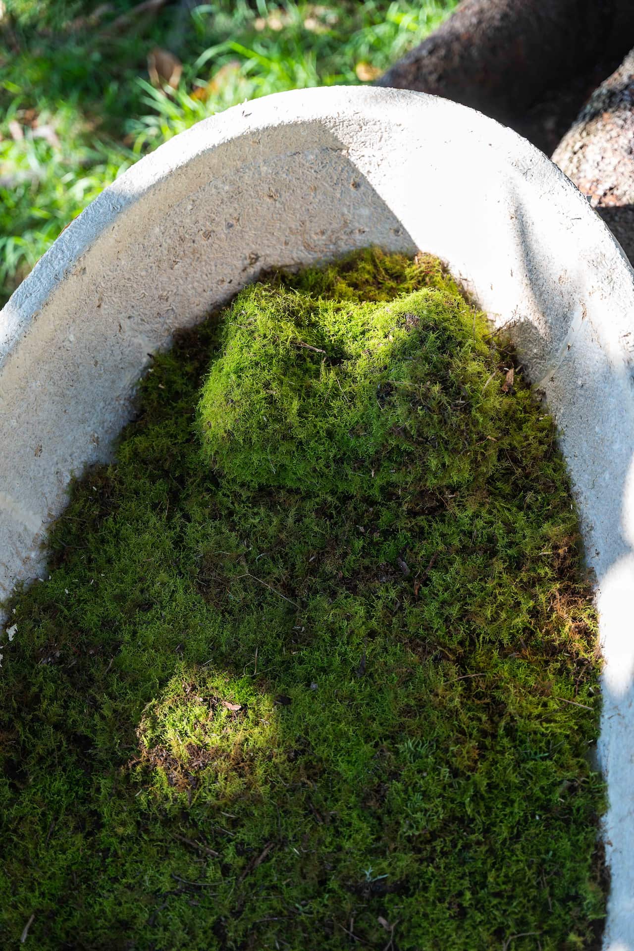 Loop Living Cocoon™ with Moss Lining