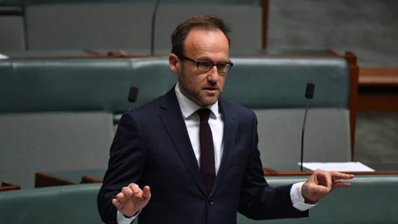 Greens leader Adam Bandt.jpg