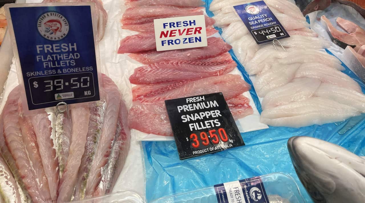 Tomaru58 Snapper and Flathead (2).jpg