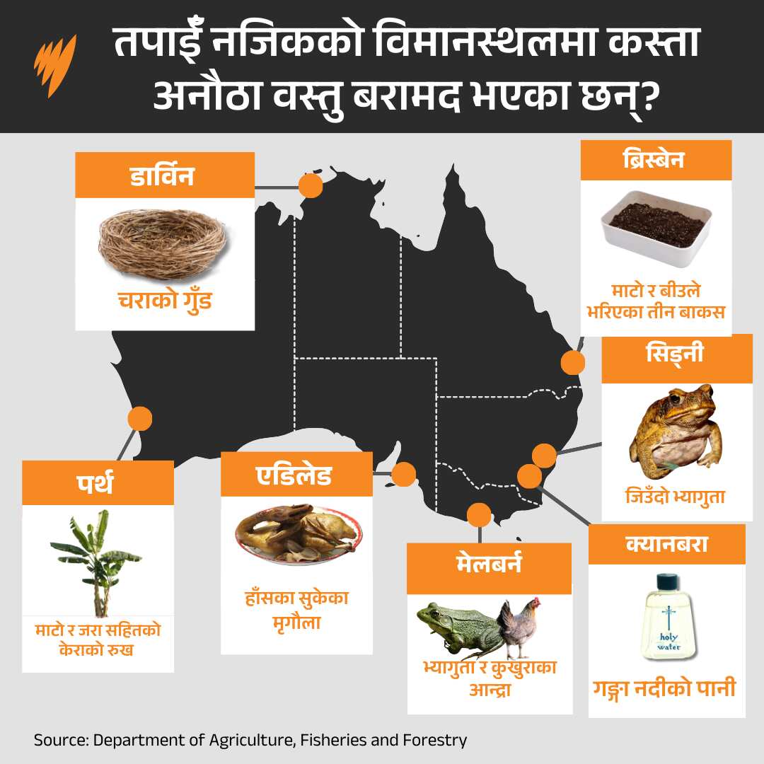 WEIRD ITEMS SEIZED GFX 1.png