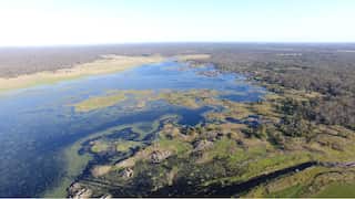 An aerial view of a large lake with big clumps of algae on the water surface