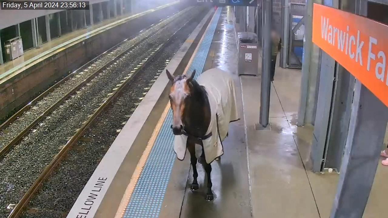 A horse standing on a train platform