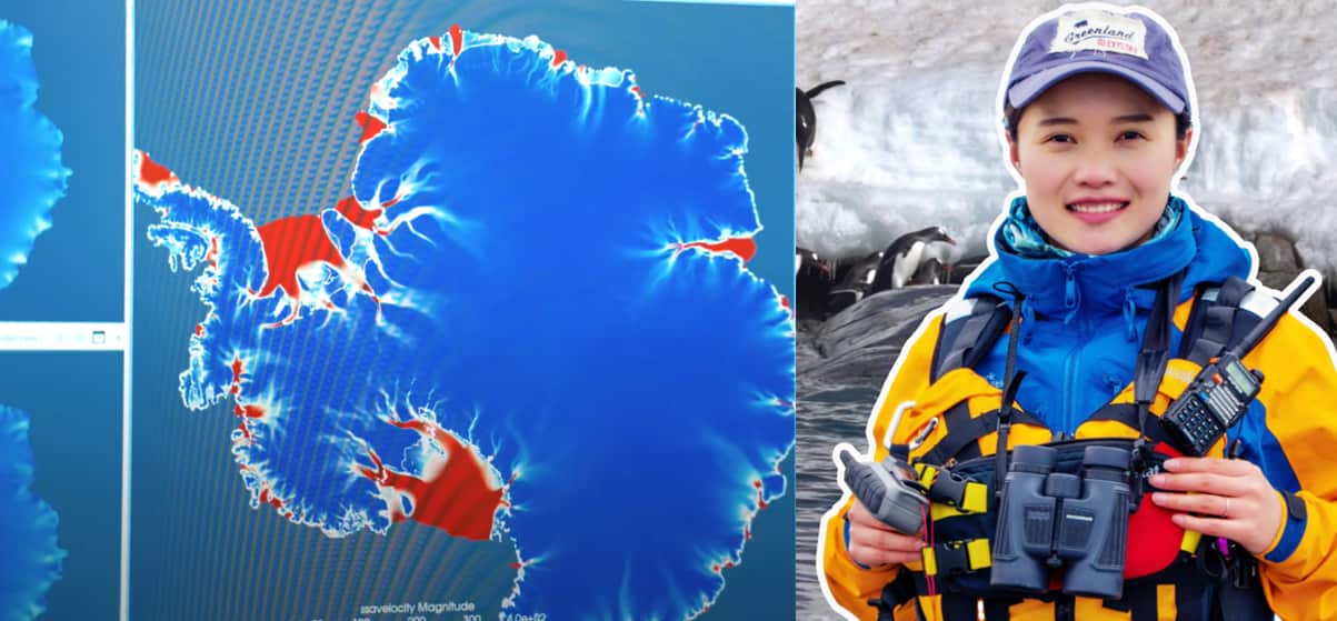 antractica chen zhao.png