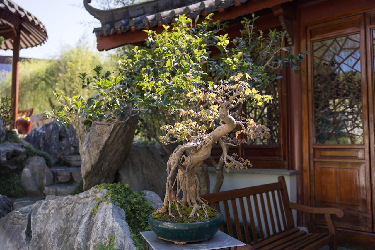 PenjingExhibition_ChineseGardens