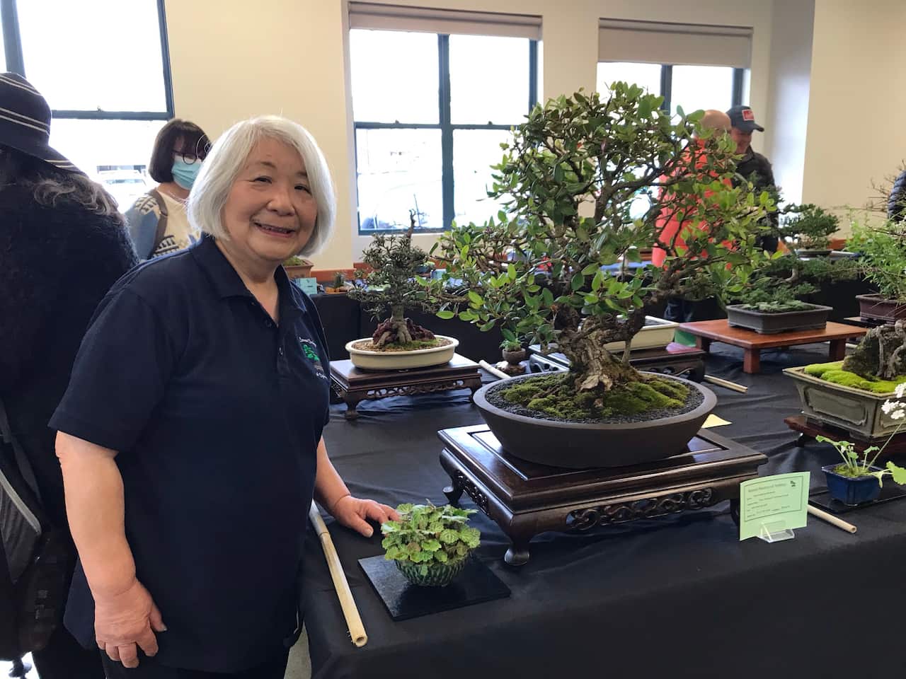 Bonsai Master Megumi Bennett 