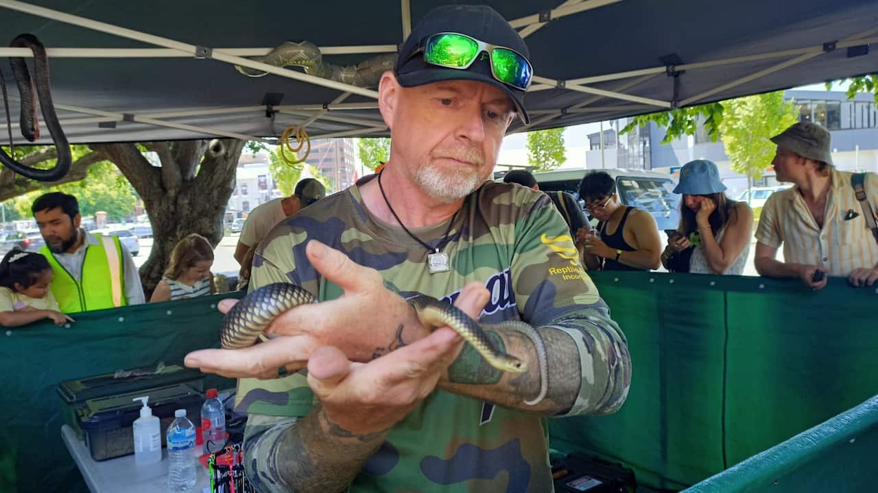 Hobart 2025 Lunar New Year Festival.jpeg