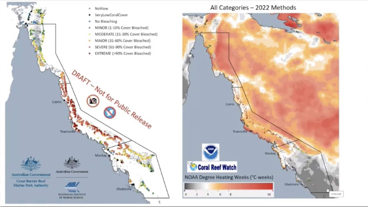 Heatmap of the 2021/22 mass coral bleaching