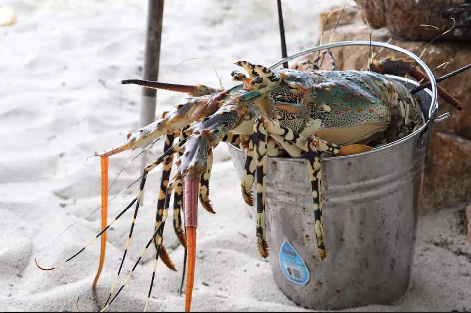 Ms Nona cooks food over the fire on site for her guests. new.png