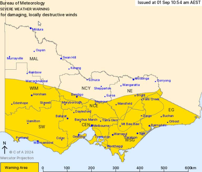 維州 2024-09-01_11-10-37.jpg