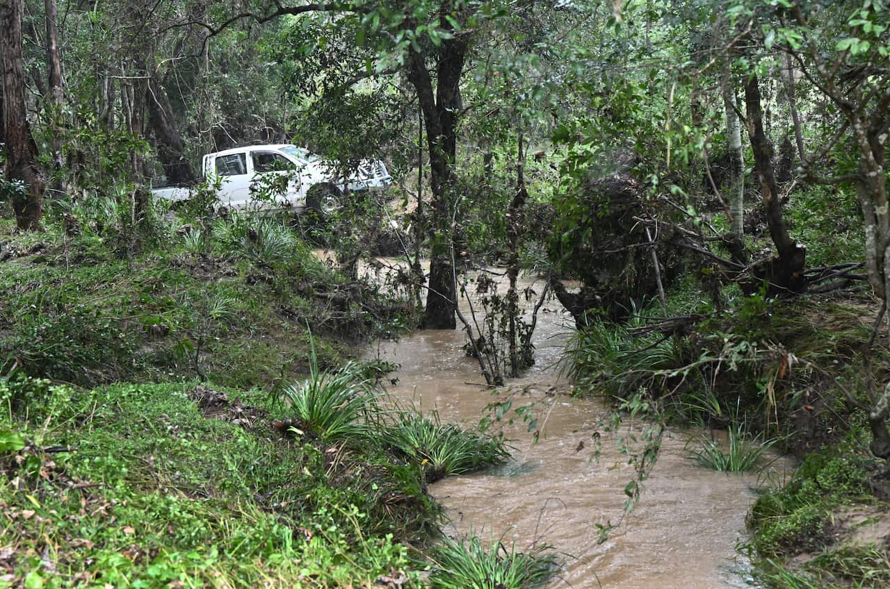 A ute in a forest bisected by a muddy creek