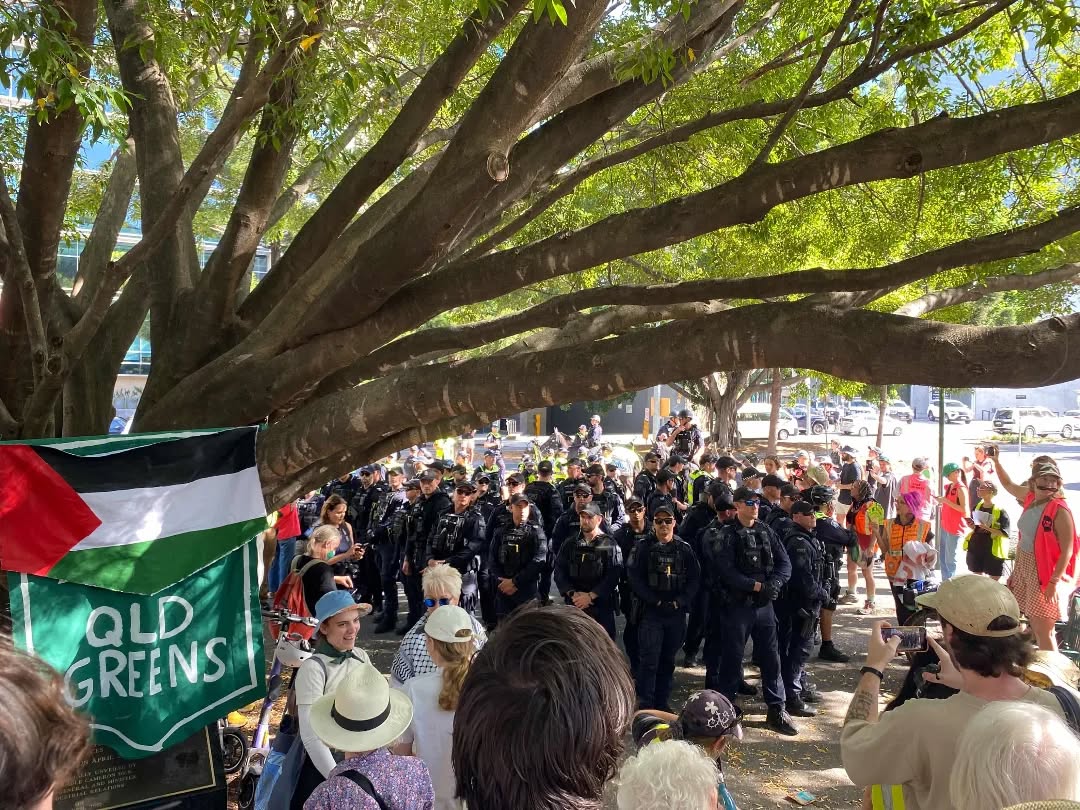 A group of protesters, some holding a Palestinian flag and a "QLD Greens" banner, face off against a large line of police officers under the shade of a large tree.
