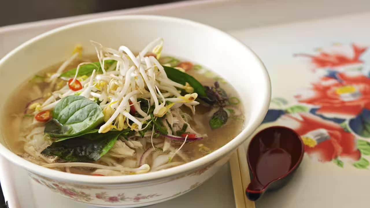Speedy chicken pho