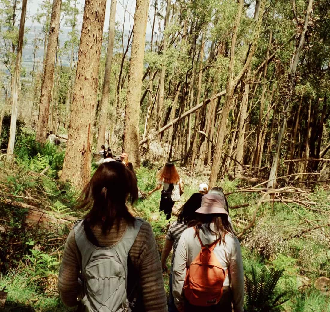 Screenshot 2023-03-13 at 6.32.25 pm.png