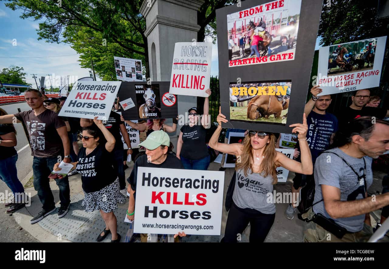 elmont-ny-usa-8th-june-2019-june-8-2019-protestors-gather-outside-of-the-the-track-to-protest-horse-racing-on-belmont-stakes-festival-saturday-at-belmont-park-in-elmont-new-york-eswcsmalamy-live-news-TCGBEW.jpg