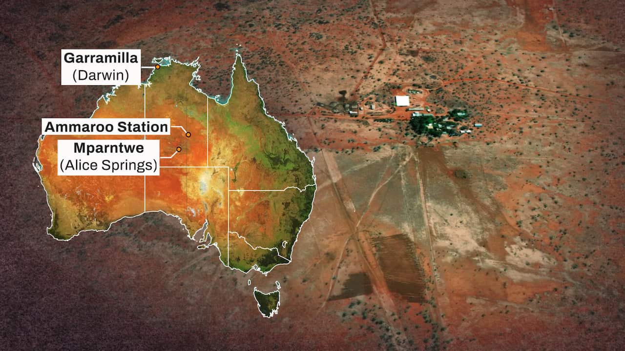 Ammaroo station still map 16x9.jpg