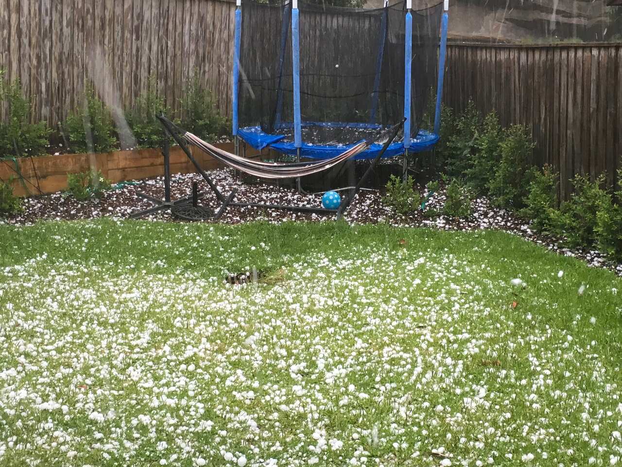 SYDNEY HAILSTORM