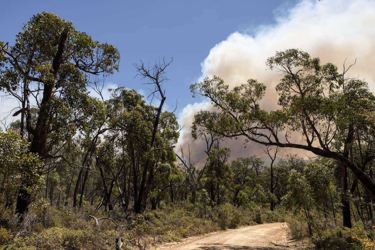 BUSHFIRES VICTORIA