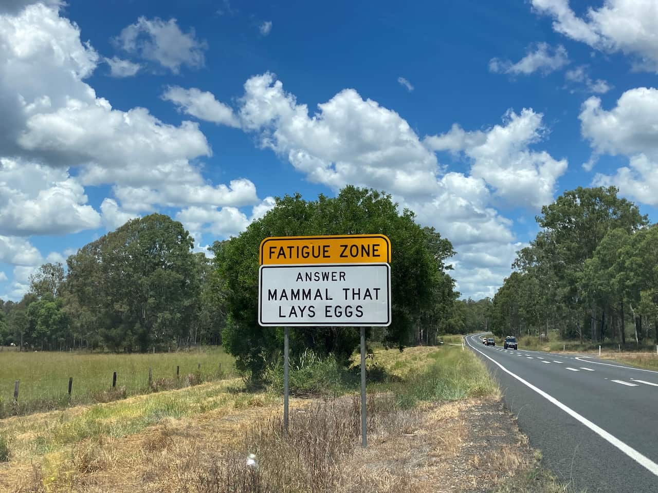 Fatigue trivia sign 5.jpg