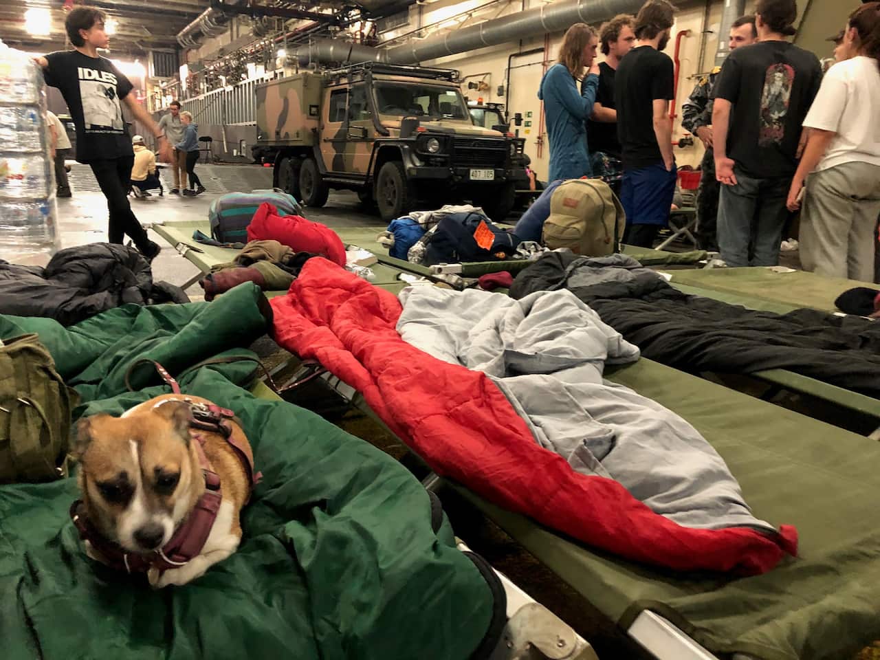 A dog in a sleeping bag on a ship with people standing in the background.