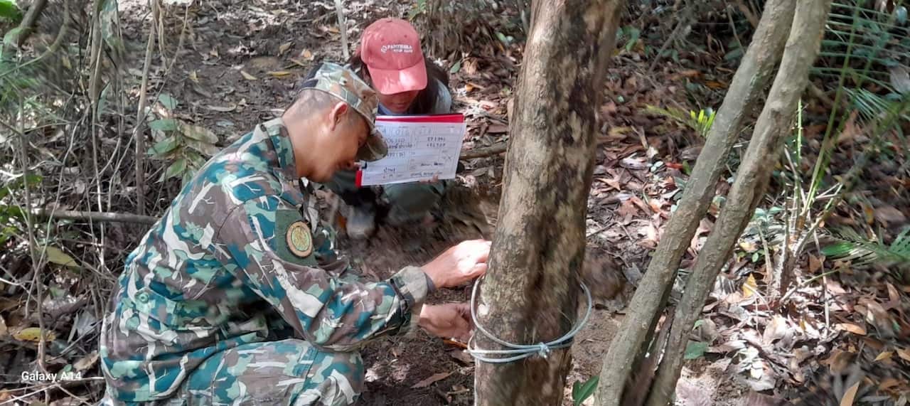 Two people in camouflage uniform tying a wire to a tree