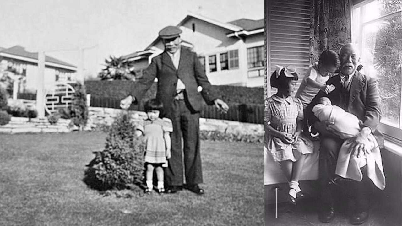 Untitled design (22).jpg