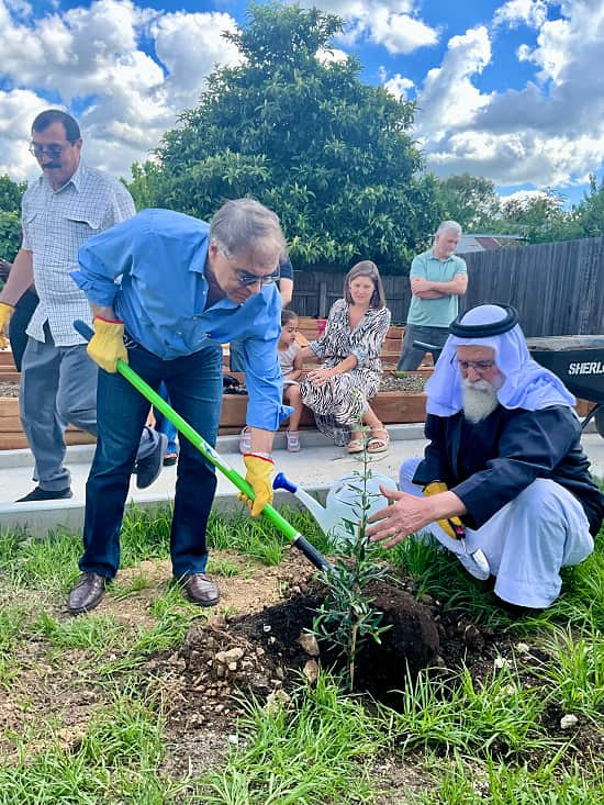 Shingal community garden inside photo.png