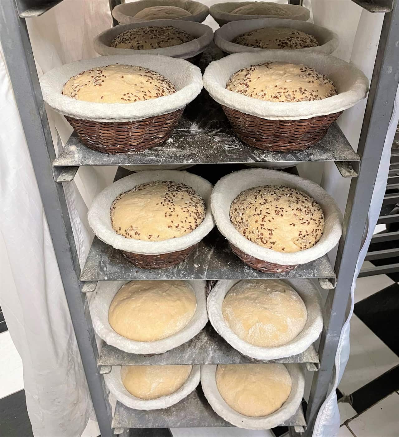 Sourdough loaves ready for baking 