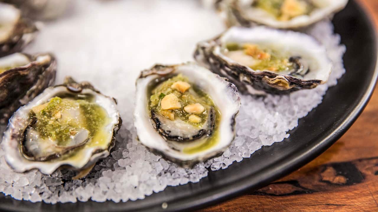 A ring of oysters sits on ice on a dark plate.
