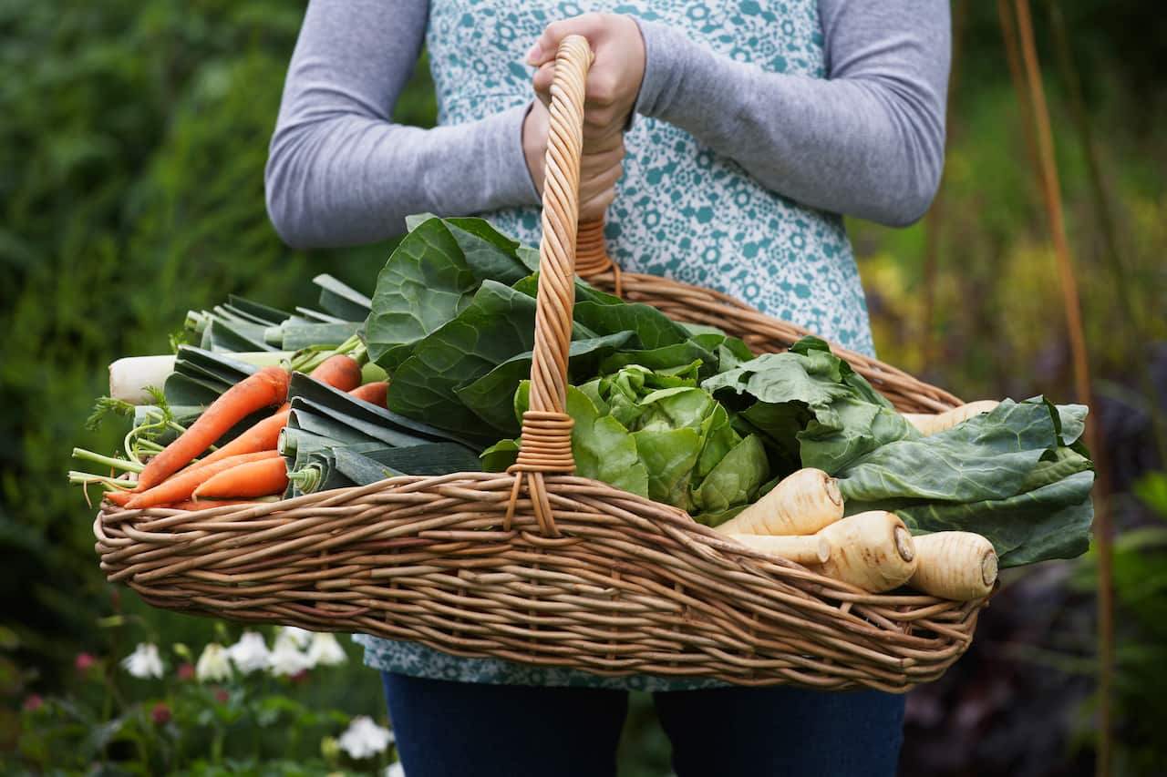A woman holding a basket of vegetables