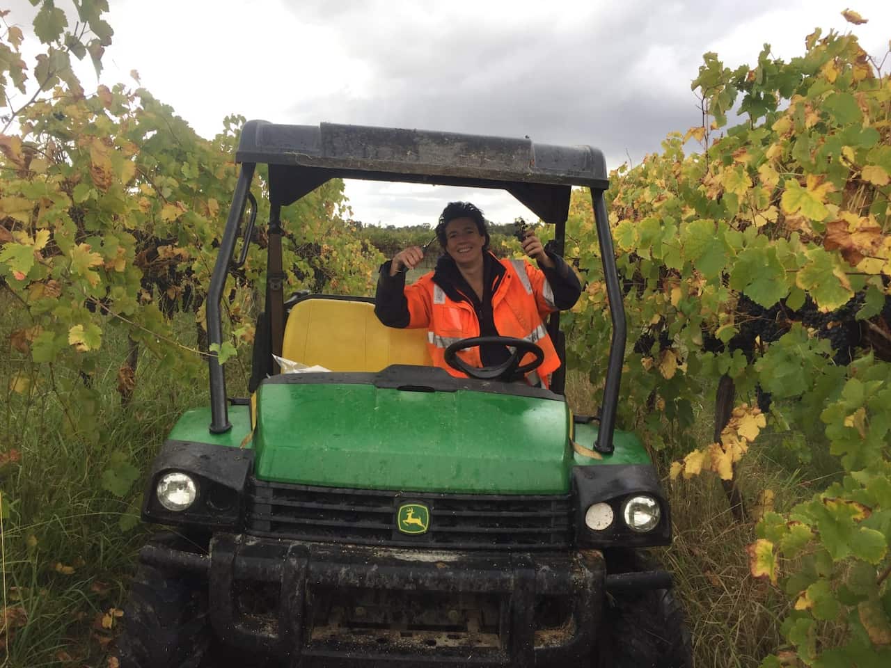 A woman sits in a electric buggy in a vineyard