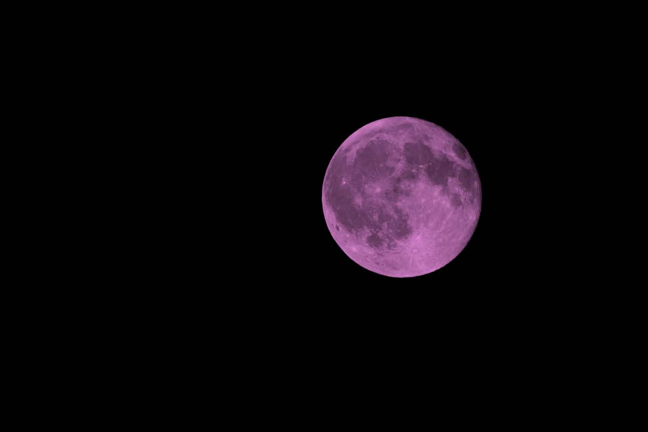 A full pink moon against the dark black sky.