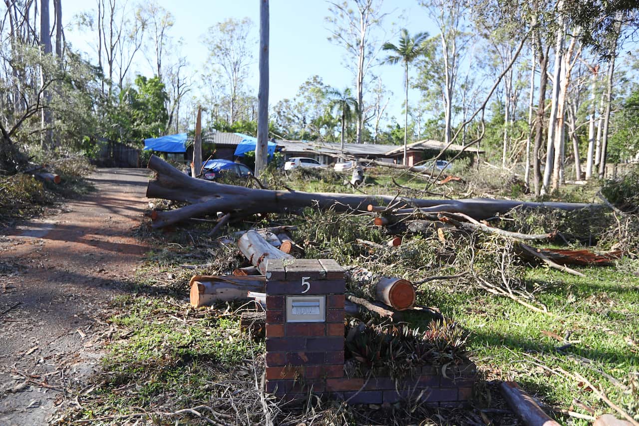 The fallen trees and other damages are seen after the storm